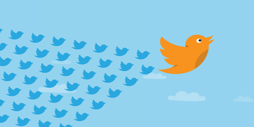 Twitter Developing Payments Feature as Elon Musk Takes Charge